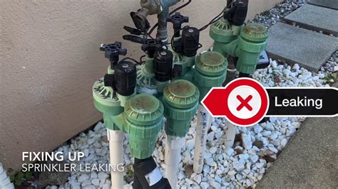 5 signs you have a leaking sprinkler valve and how to fix it